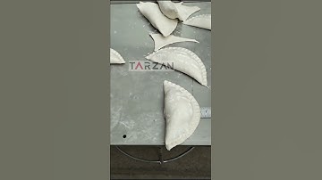 Automatic Dumpling Machine