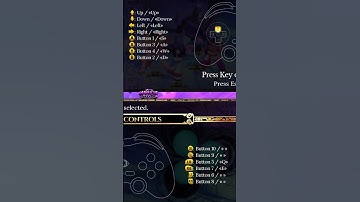 Indivisible  COMMAND LIST CONTROLS CONTROLLER CONFIGURATION  MOVE LIST - CONTROLLER SETTINGS MOVESET