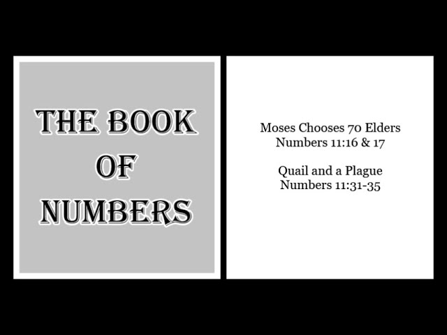 Watch Moses Chooses 70 Elders (Numbers 11:16 & 17), Quail and a Plague (Numbers 11:31-35) on YouTube Watch Moses Chooses 70 Elders (Numbers 11:16 & 17), Quail and a Plague (Numbers 11:31-35) on YouTube
