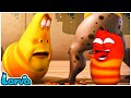 LARVA SEASON 2 EPISODE 127 - CARTOONS NEW VERSION - SMTOON ASIA