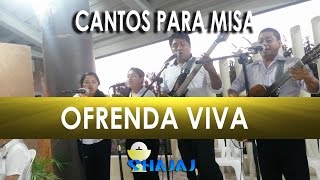 CANTOS PARA MISA | Ofrenda Viva | SHAJAJ