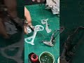 Xtr m900 full service