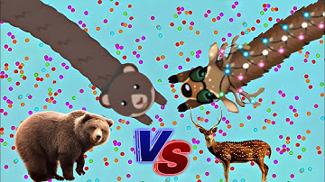 Snake Io 🐍 Nora Vs Grizzly + Snake 🐍 Epic Snakeio Gameplay