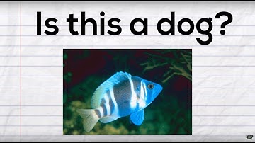 No | Core Vocabulary Song