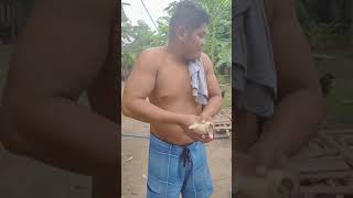 Download Lagu gala gala sa bundok with family MP3