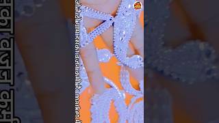 🔥 68g चांदी का रॉयल मेहंदी छल्ला ❤️ | Latest Silver Ring Design ✨ | ₹15,210 #Shorts
