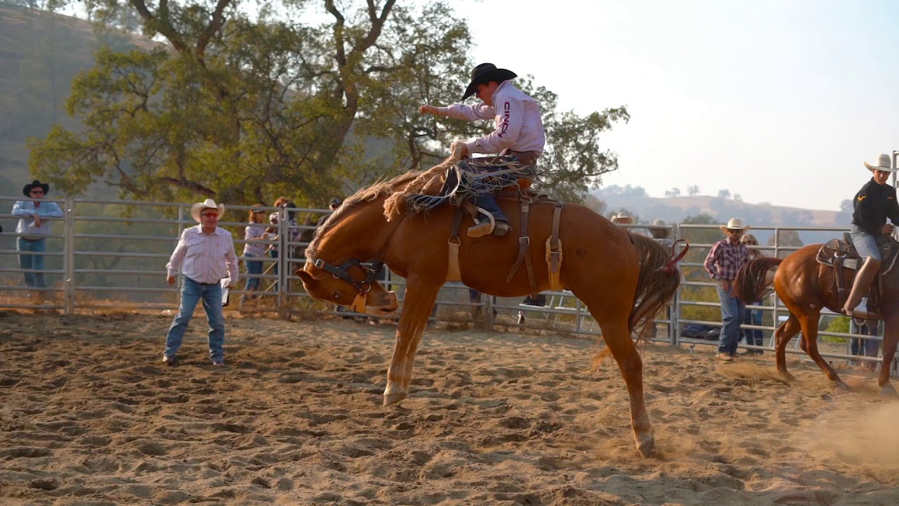 Jake Finlay On Cole Australian Saddle Bronc Cowboy YouTube Jake Finlay On Cole Australian Saddle Bronc Cowboy YouTube
