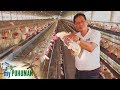 Egg farmer Leo Aldueza talks about how he started his poultry farm | My Puhunan