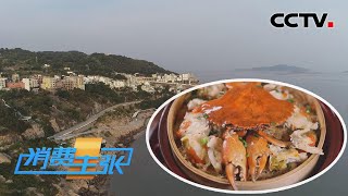 福建霞浦：八闽海鲜出霞浦，海量吃法一口“鲜”翻你的味蕾 「消费主张」2022中国夜市全攻略 20220816 | CCTV财经