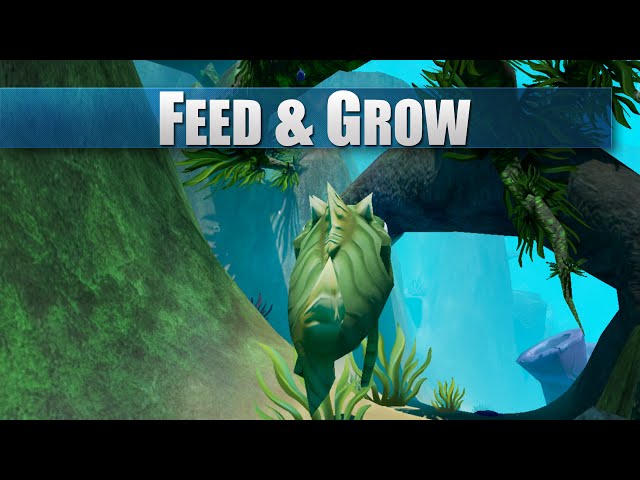 About: My Fish Feed Grow Series 2019 Guide (Google Play version)