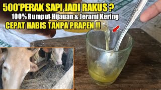 D.K : Racikan ampuh bikin nafsu makan sapi jadi lebih lahap dan rakus minum !!