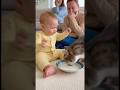 自分のミルクと勘違いして猫に怒っている赤ちゃん👶🐱🤣#cat #cats #baby #cute #funny #shorts #catvideos #赤ちゃん #猫
