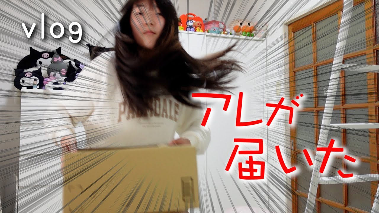 vlog】欲しかったアレがついに届いた！さっそく使ってみたらやっぱり最