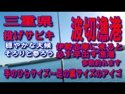 #124三重県波切漁港投げサビキ釣り手のひらサイズから足の裏サイズのアイゴ多数釣ます入江が素敵な道規模の大きいきれいな漁港色々な魚が良く釣れる漁港ファミリー家族連れサビキ釣りに良い車横付け釣り出来ます