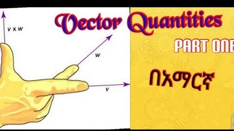 #Vector Quantities (in Amharic)
