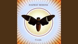 Cicada