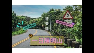 #vlog 3 [一日陽明山]去擎天岡看牛牛還有好吃的蛋糕？！Ft.超黏人的可愛貓貓