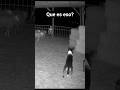 QUE ES ESA OVEJA? #leyendas #terrorymisterio #miedo #paranormal