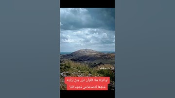 #اكسبلور #قران_كريم #المصحف #الله #تلاوة_خاشعة #تلاوة_القرآن #ترند