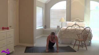 Bertinator Breakdown: Plank Jacks