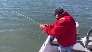 Catching Flathead on Soft Plastics and Soft Vibes.