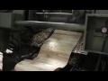 Производство деревянной тары. Лущильный станок  CoraliM82