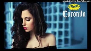 BRÚTÁLIS CORONITA 2023 DJ BOSS