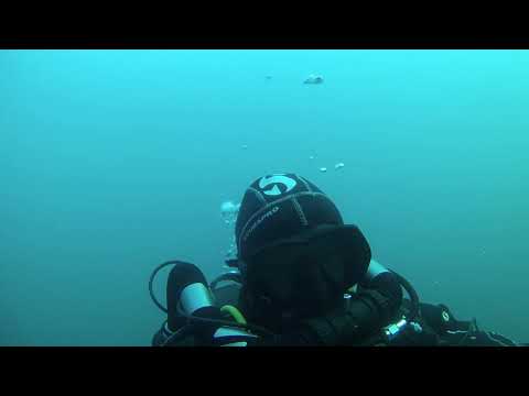 Diving with a