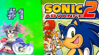 Sonic Advance 2 Part 1 Gameplay Indonesia screenshot 5