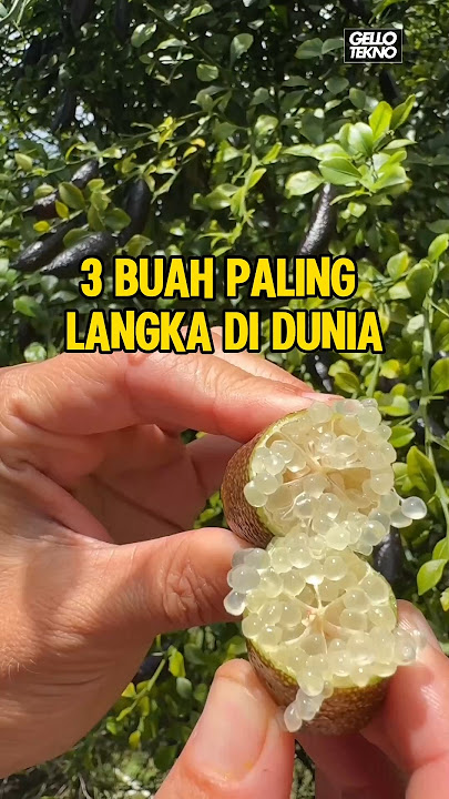 3 Rarest Fruits In The World ‼️😱