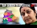 lends support Telangana bill