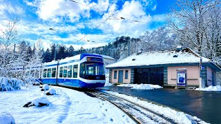 SWITZERLAND _ Winter Wonderland🇨🇭Zurich City Covered In Snow _ City Snowfall