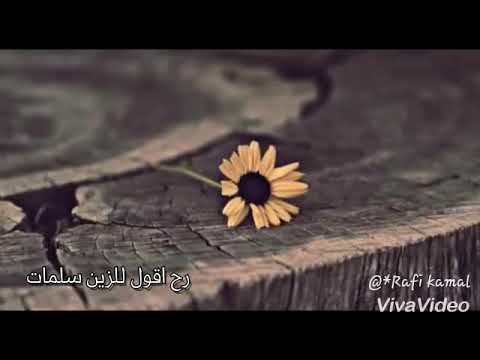 حاالات وتس اب على حسبي وداد قلبي يا بوي