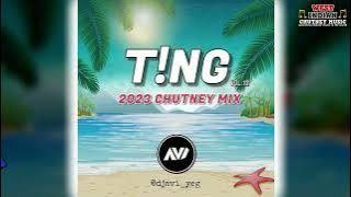 Dj Avi - T!NG Vol. 12 (2023 Chutney Soca Mix)