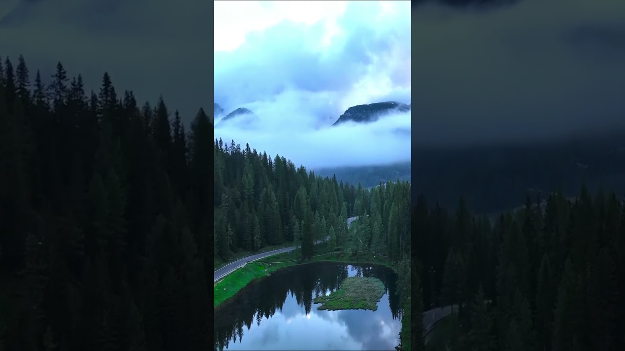 Nature Sounds for Sleep: forest sounds for sleeping | nature sensory videos