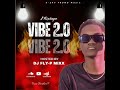 VIBE 2.0 MIXTAPE - DJ FLY-P MIXX (OFFICIAL MIX 2024)