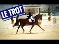 Le trot pour la comptition de dressage  comment amliorer le trot