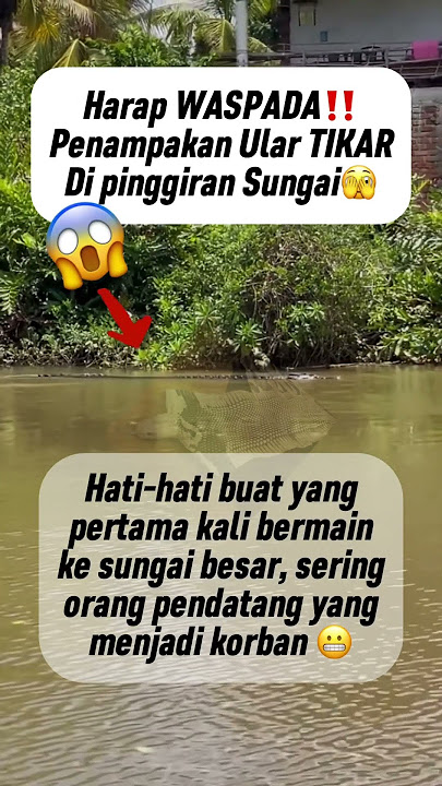 Misteri ular tikar 😬‼️ #unique #fishing #mancing #lifeisbutadream #ularkasur #hutan #ikan #banjir