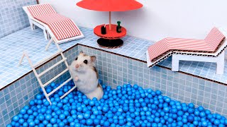 Luxury Pool maze for cute Hamster - area for pets in real life