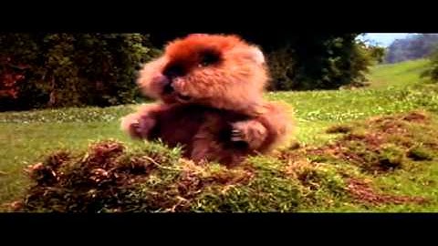 gopher dance caddyshack