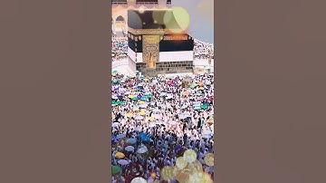 beautiful islamic status #سورة_الإخلاص #ikhlas #quran #beautiful #islamicstatus #love
