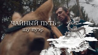 Шу пуэр &quot;Чайный путь&quot;