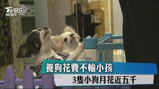 養狗花費不輸小孩3隻小狗月花近五千