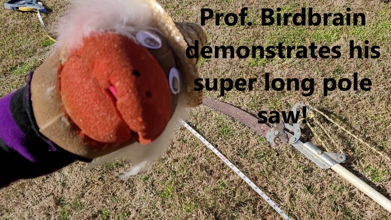 Super Long Pole Saw YouTube