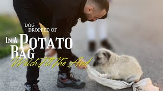 Dog dropped off in a potato bag watch till the end by dev naz Animal Rescue 1,525 views 3 months ago 3 minutes, 35 seconds