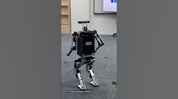 The BR002 robot from Booster Robotics