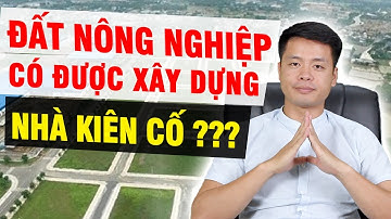ĐẤT NÔNG NGHIỆP CÓ ĐƯỢC XÂY DỰNG NHÀ KIÊN CỐ & QUY TRÌNH CHUYỂN ĐỔI SANG ĐẤT THỔ CƯ | Mr Trưởng Vũ