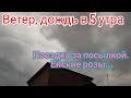 Ейск🌹Ураганный ветер и дождь в 5 утра. Поездка через весь город за посылкой. Наши покупки. Розы...