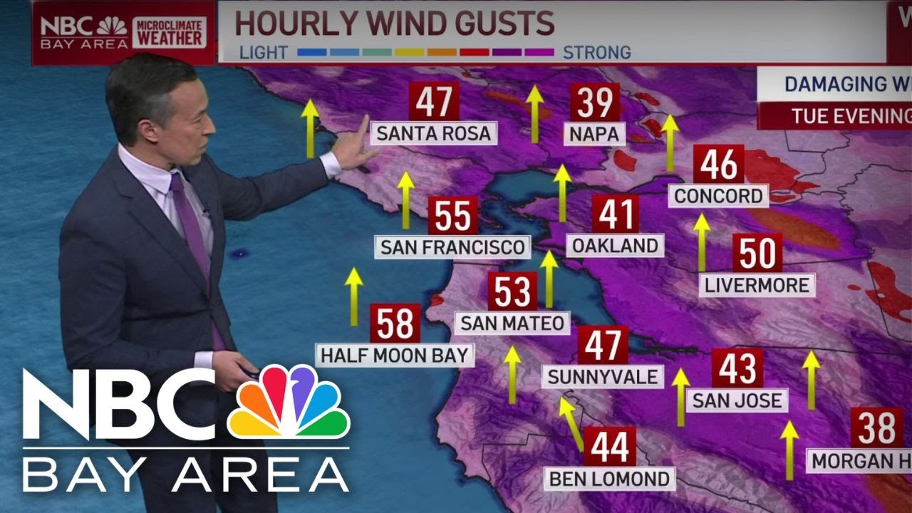 Forecast: High wind warning and what to expect with new Bay Area storm ...