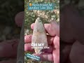 Amazing Arrowhead Found🤩 #arrowhead #artifacts #nativeamerican #native #creek #history #treasure